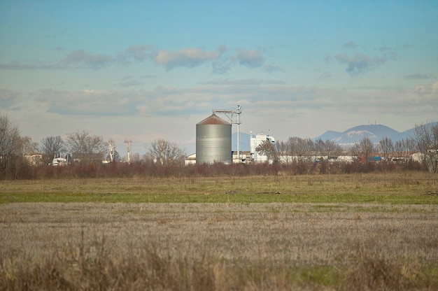 Essiccatoio immerso in un paesaggio di campagna con alberi spogli durante l'inverno.