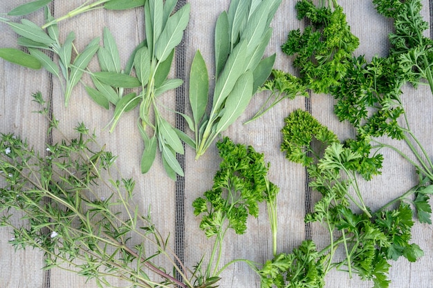 Essiccazione di erbe fresche e verde per alimenti speziati su sfondo di scrivania in legno Motivo a vista dall'alto