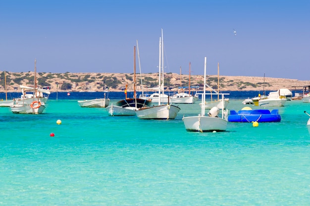 estany des peix nelle barche di ancoraggio del lago di Formentera