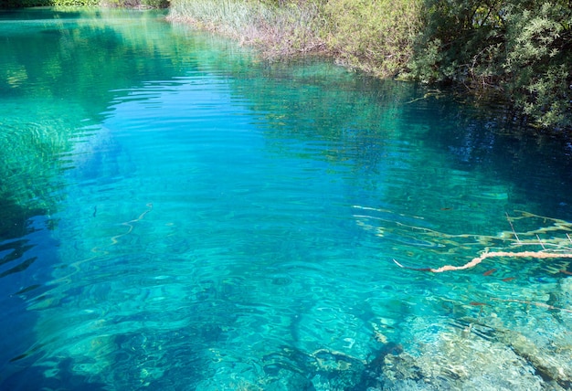 Estate azzurro limpido trasparente vista lago (Parco nazionale dei laghi di Plitvice, Croazia)