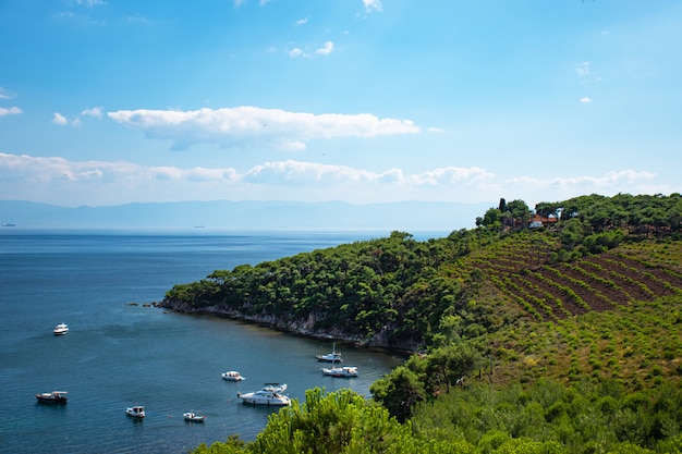 Estate del wiew di panorama di principessa Island istambul