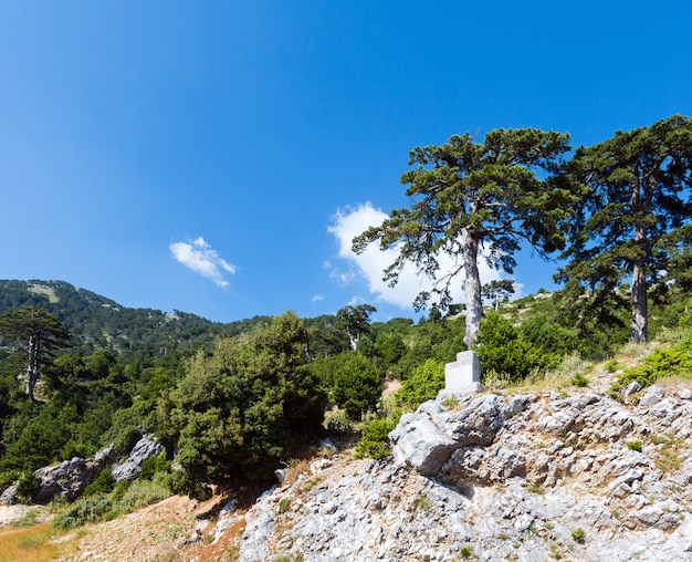 Estate Llogara pass vista con alberi di pino sul fianco di una montagna (Albania)