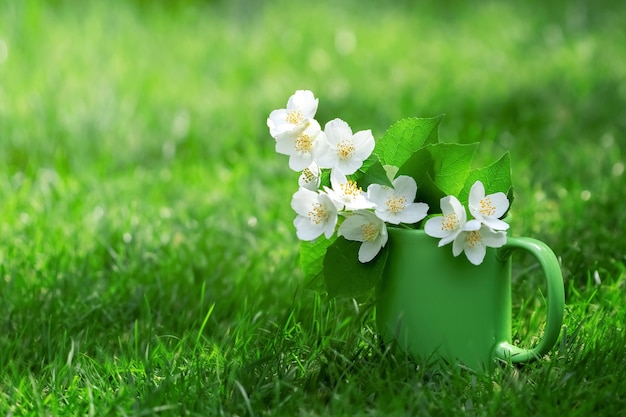 Estate luminosa natura morta Fiori di gelsomino in una tazza verde nel giardino