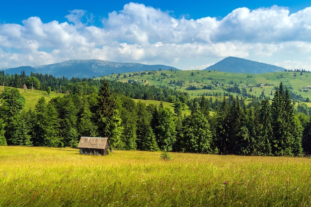 Estate montuoso paesaggio rurale vista con una vecchia casa e abete Ucraina dei Carpazi