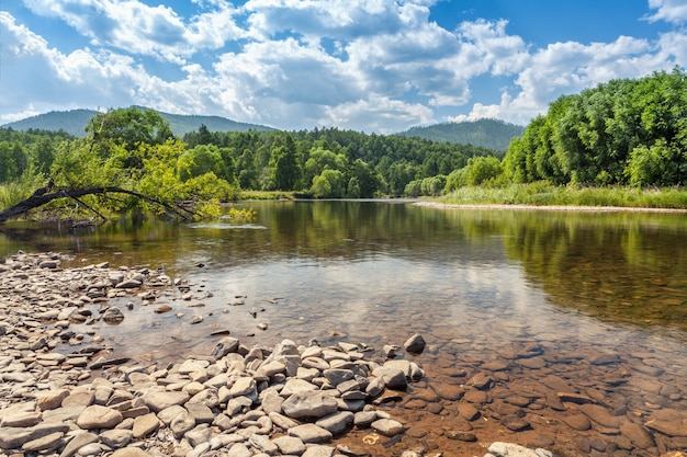 Estate natura paesaggio con fiume, colline e foreste. Giornata soleggiata e calda