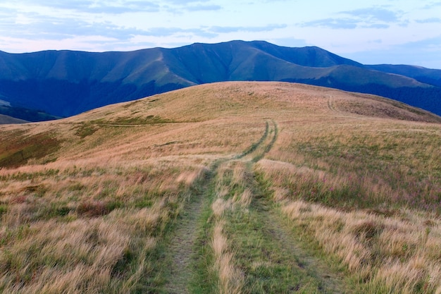 Estate nuvoloso paesaggio di montagna con strada di campagna (Ucraina, Carpazi)