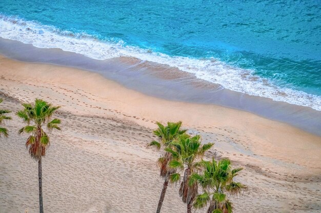 Estate onde dell'oceano color smeraldo e palme