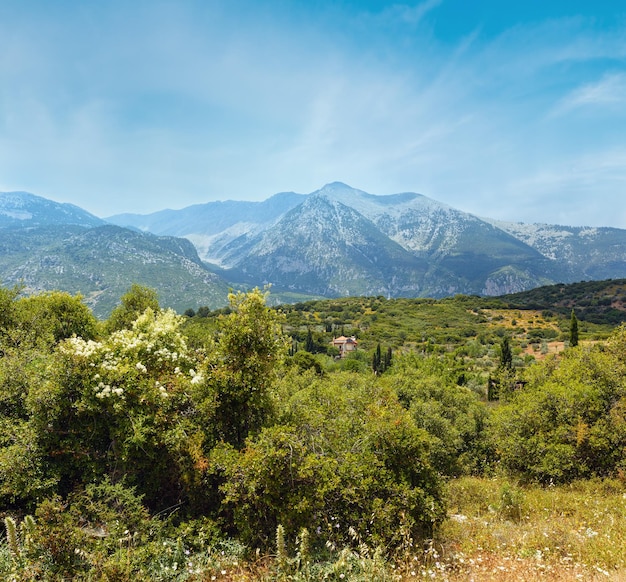Estate paesaggio di montagna Grecia