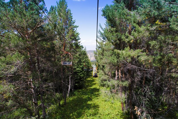 Estate paesaggio di montagna in alta montagna Alti alberi di alberi di Natale skilift alla base sciistica