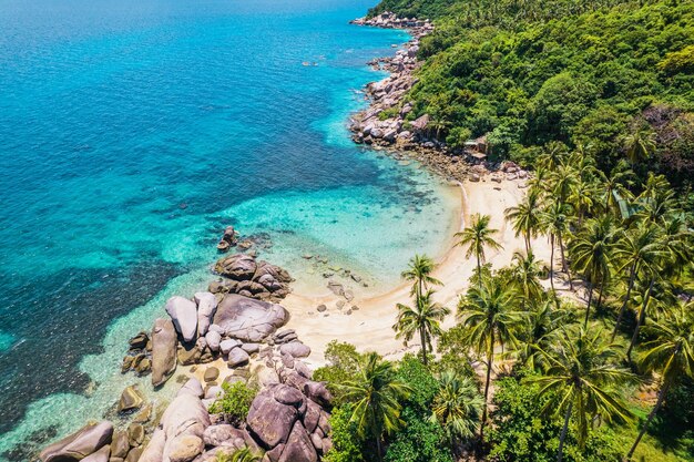 Estate paesaggio marino alberi di cocco e spiaggia in estate dall'alto