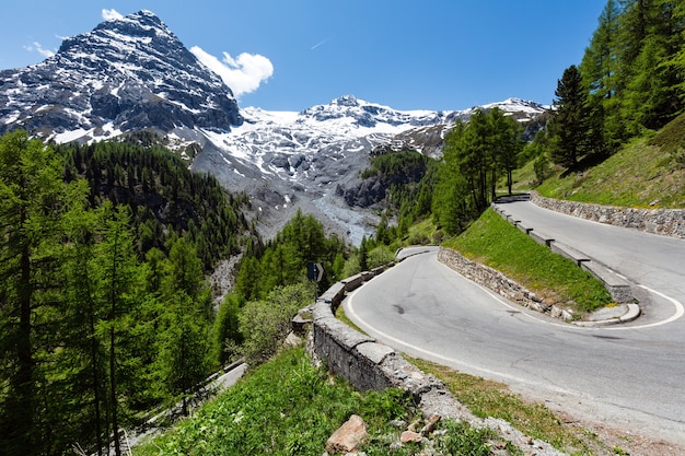 Estate Passo dello Stelvio con bosco di abeti e neve sulla cima della montagna (Italia)