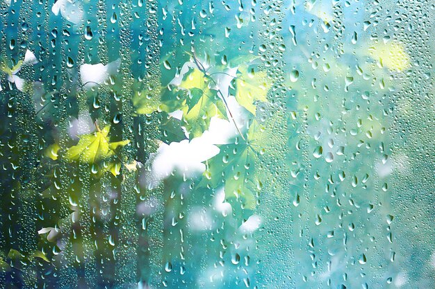 estate pioggia vetro bagnato / paesaggio di sfondo astratto in una giornata piovosa fuori dalla finestra sfondo sfocato