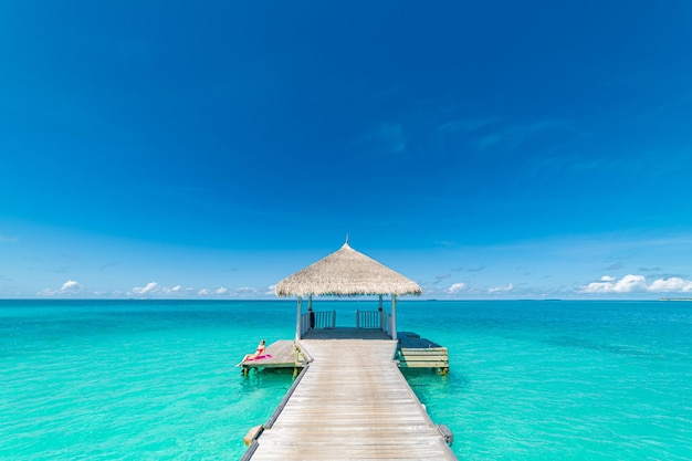 Estate pittoresca alle Maldive. Ville resort di lusso vista sul mare laguna tropicale fantastica scena della natura