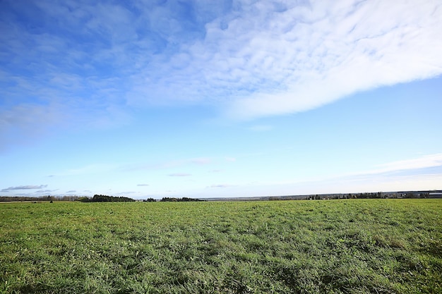 estate strada nel campo paesaggio natura prato