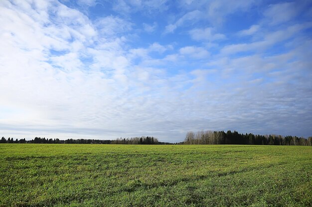 estate strada nel campo paesaggio natura prato