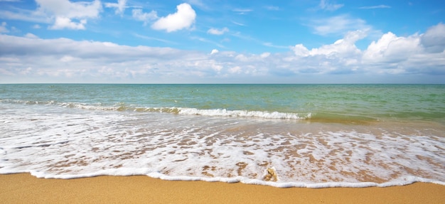 Estate sulla spiaggia del mare