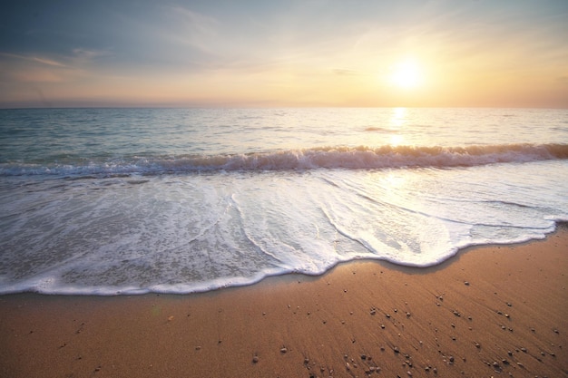 Estate sulla spiaggia del mare