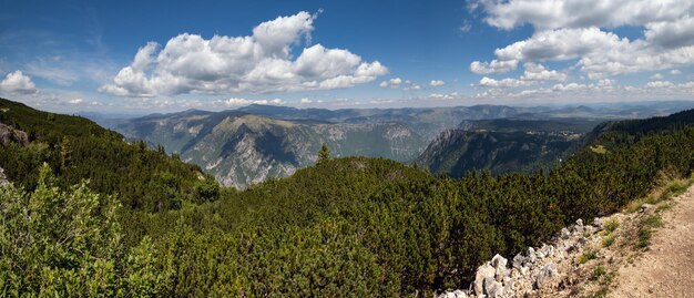 Estate Tara Canyon nel Parco Nazionale del Durmitor della montagna Montenegro