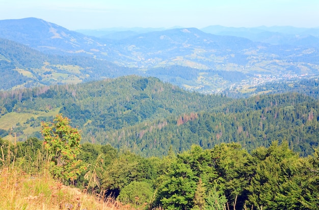 Estate villaggio di montagna e foresta sul fianco di una montagna