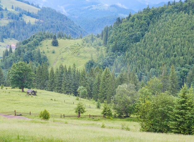 Estate vista montagna con tettoia in legno sul prato verde