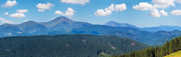 Estate vista sulle montagne Ucraina dei Carpazi