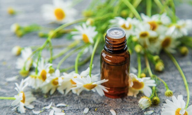 Estratto di olio essenziale di camomilla medicinale. Messa a fuoco selettiva. Natura.