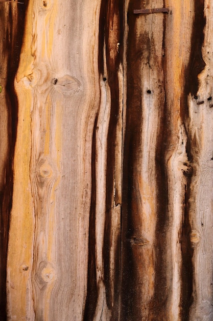 Estratto di struttura del fondo della plancia di legno