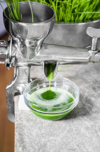 Estrazione di Wheatgrass in azione sul piano di lavoro della cucina utilizzando uno spremiagrumi manuale