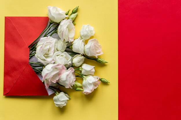 Eustoma fiori con busta su sfondo colorato.bustina aperta con fiori bianchi arrangiamenti.festive concetto di saluto.brillante composizione fresca