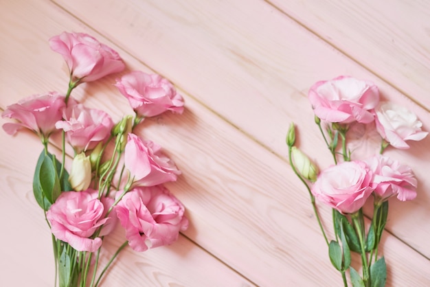 eustoma fiori sul rosa