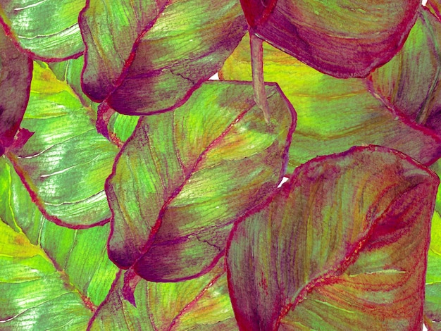 Exotic Hawaiian Design. Upholstery Texture. Watercolor Leaves Seamless Pattern.  Green and Red Swimwear Print with Tropical Leaves. Watercolor Floral Background. Tropical Summer Rapport.