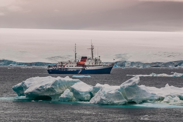 Expedition crociera in nave nel paesaggio antartico isola Paulet vicino alla penisola antartica