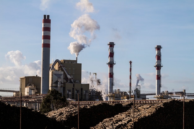 fabbrica di carta industriale