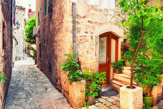 Facciata della vecchia casa in pietra con piante decorative verdi. Bella architettura a Cattaro, Montenegro