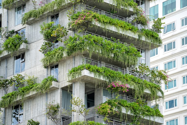 Facciata ecologica delle costruzioni con le piante verdi e fiori sulla parete di pietra della facciata della casa sulla via di Danang, Vietnam