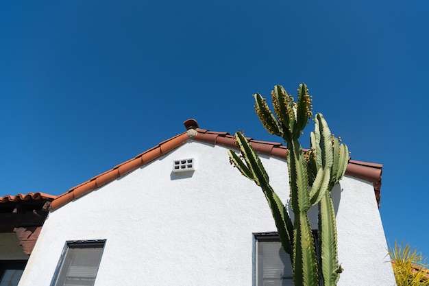 Facciata laterale della casa con tetto e cactus su sfondo blu cielo, casa.