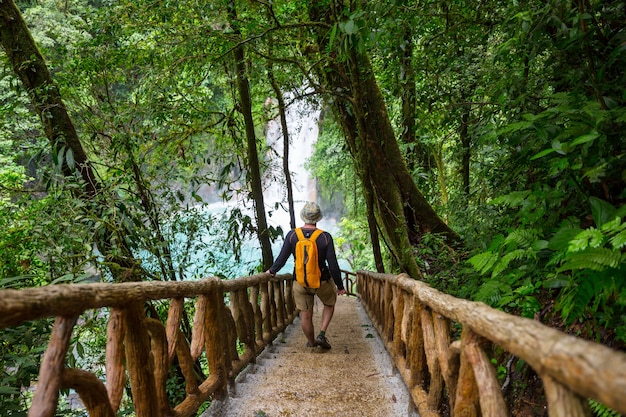 Facendo un'escursione nella giungla tropicale verde, Costa Rica, America Centrale