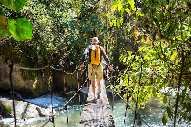 Facendo un'escursione nella giungla tropicale verde, Costa Rica, America Centrale