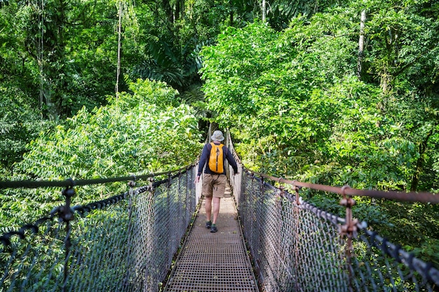 Facendo un'escursione nella giungla tropicale verde, Costa Rica, America Centrale