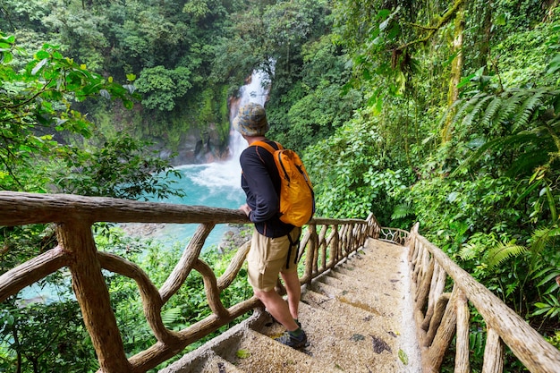 Facendo un'escursione nella giungla tropicale verde, Costa Rica, America Centrale