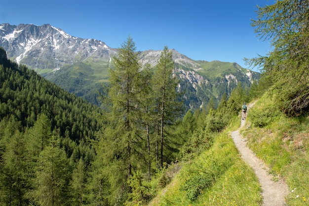 Facendo un&#39;escursione su un sentiero alpino