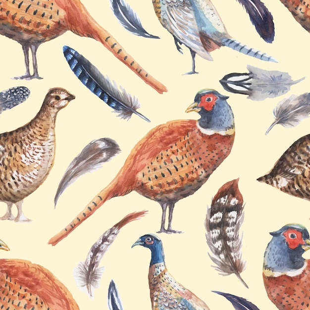 Fagiano pernice piume di uccello acquerello disegnato a mano