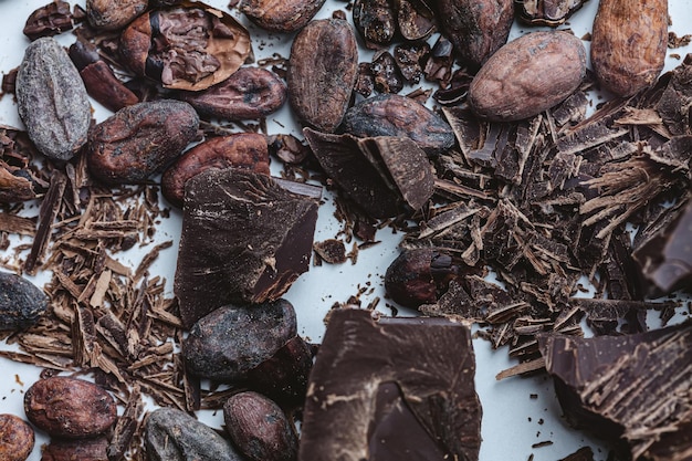 Fagioli di cacao con cioccolato su uno sfondo bianco Shalllow dof