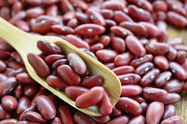 fagiolo rosso