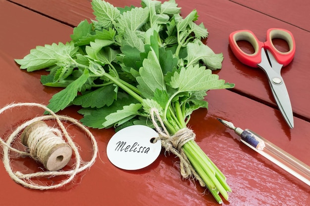 Fagotto di melissa officinalis con etichetta