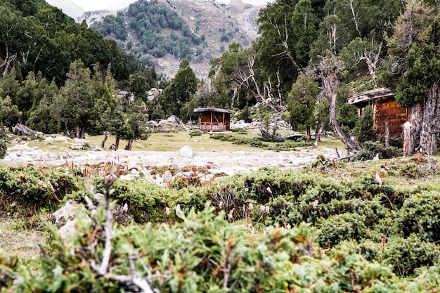 Fairy Meadows Nanga Parbat Bellissimo paesaggio vista sulle montagne