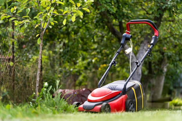 Falciatrice da giardino su erba verde