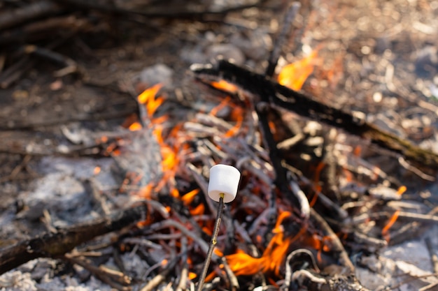 Falò da campeggio, friggendo marshmallow sul rogo