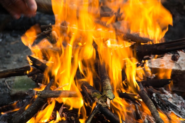 Falò di fuoco luminoso nella foresta primaverile.