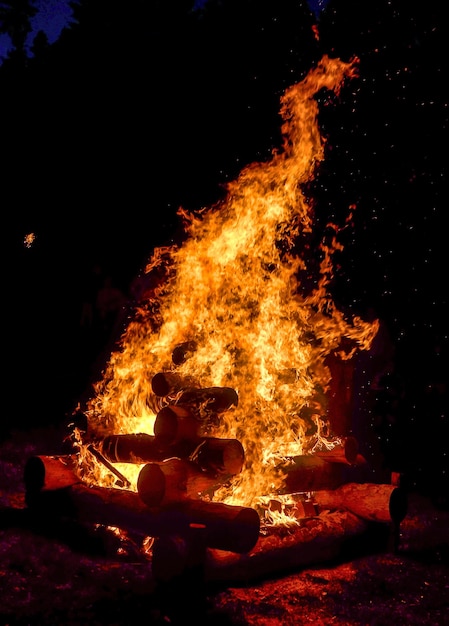 Falò di notte Falò che brucia alberi